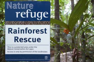 11 New Rainforest Properties Proected Forever