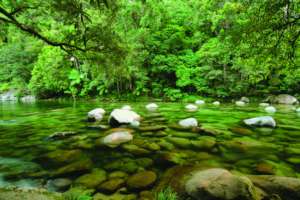 Pristine runoff into Daintree creek systems
