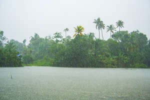 Monsoon rain along river