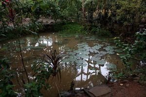 Unreliable source of water