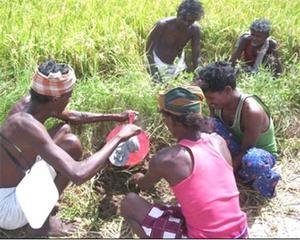 Reduce Poverty for Indigenous Rat Catchers