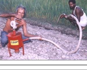 Reduce Poverty for Indigenous Rat Catchers
