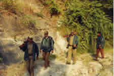 Patrolling a Tiger Reserve in North India