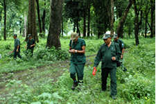 Unsung heroes of wildlife conservation