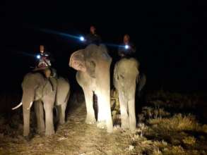 Forest officials patrolling the area