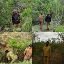 STPF staff looking for snares during the walk