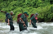 Equip Forest Guards to Protect Wildlife in India