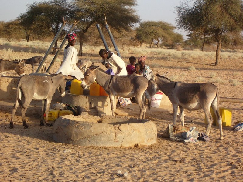 Basic nutrition for 100 school children in Mali