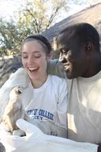 Shannon & Mmakoma moving Tiki to his new home