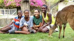 Interacting with animals!