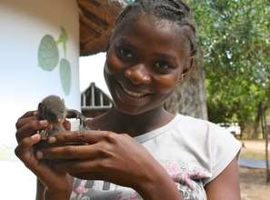 Child with baby mongoose