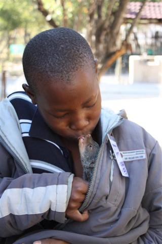 Environmental Education for over 300 Children