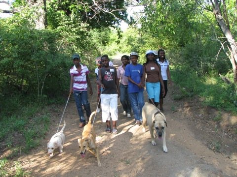 Environmental Education for over 300 Children
