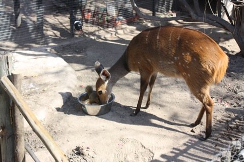 Environmental Education for over 300 Children