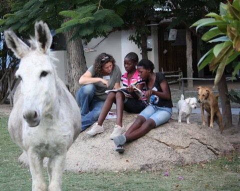 Environmental Education for over 300 Children