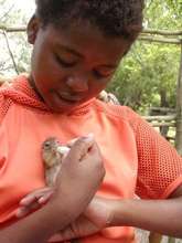 Feeding baby squirrel