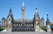 Animal Cruelty Legislation