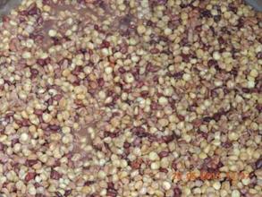 Normal daily Maize Beans Meal