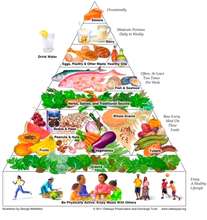 Our goal of balanced meals