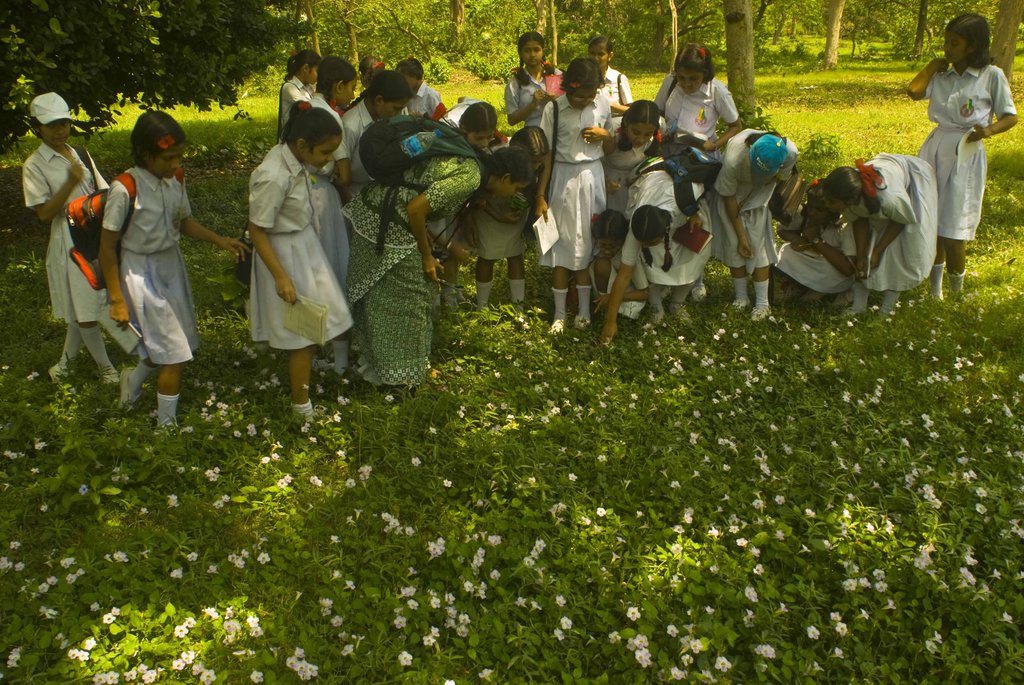 Create 5,000 Youth Nature Leaders in India