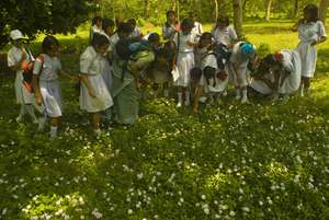 Learning about Nature