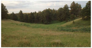 Site for Joe Fast Horse's children's safe house