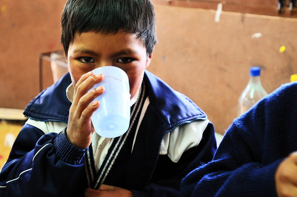 Safe Drinking Water for 40 schools in Bolivia