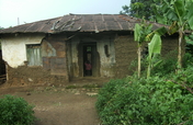 Build Shelter for 3 Elderly Grandmothers in Uganda