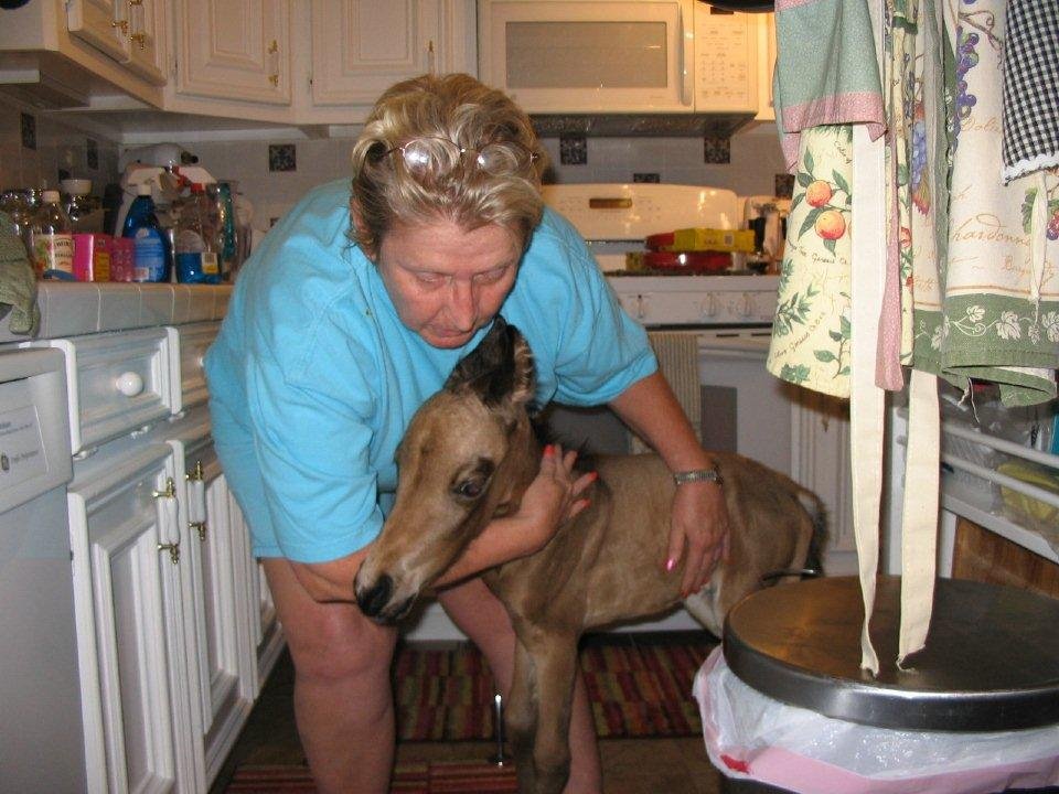 From the beginning, Spirit was one of the family