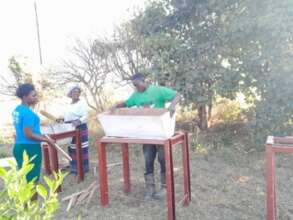 Practical experience on the beekeeping training