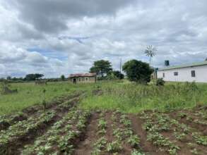 Agriculture at Kali in 2023.