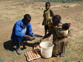 Eggs for sale brings good income