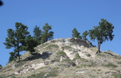 Help Native American women earn an income