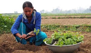 Asmita tills a successful vegetable farm