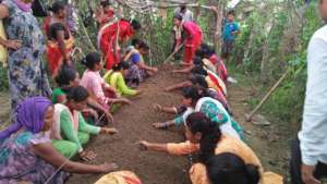 Potato farm established with NYF support