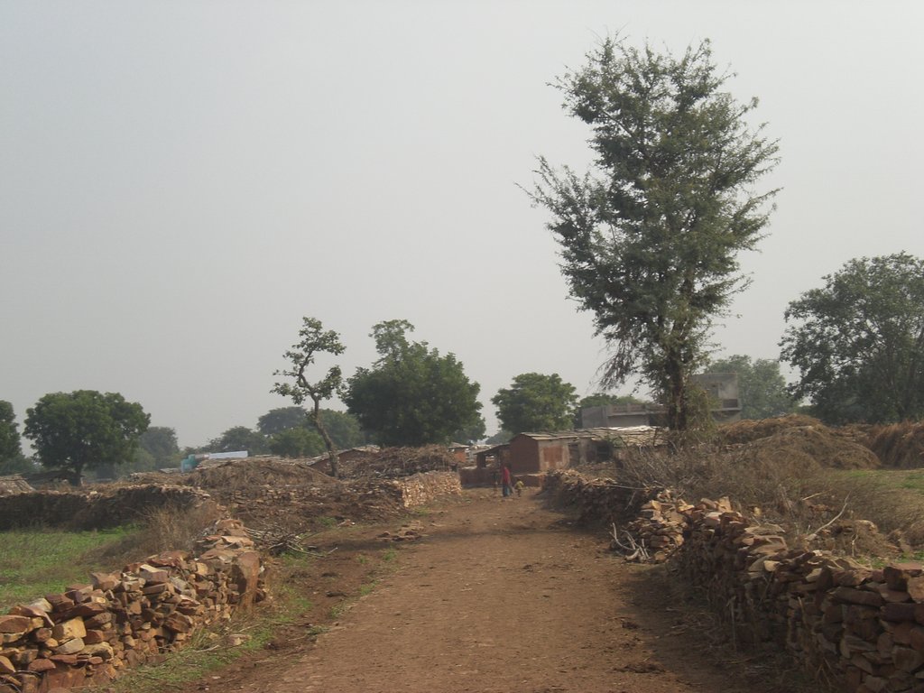 Educate & Empower 50 girls from Rural India