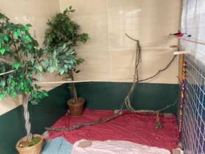 Aviary