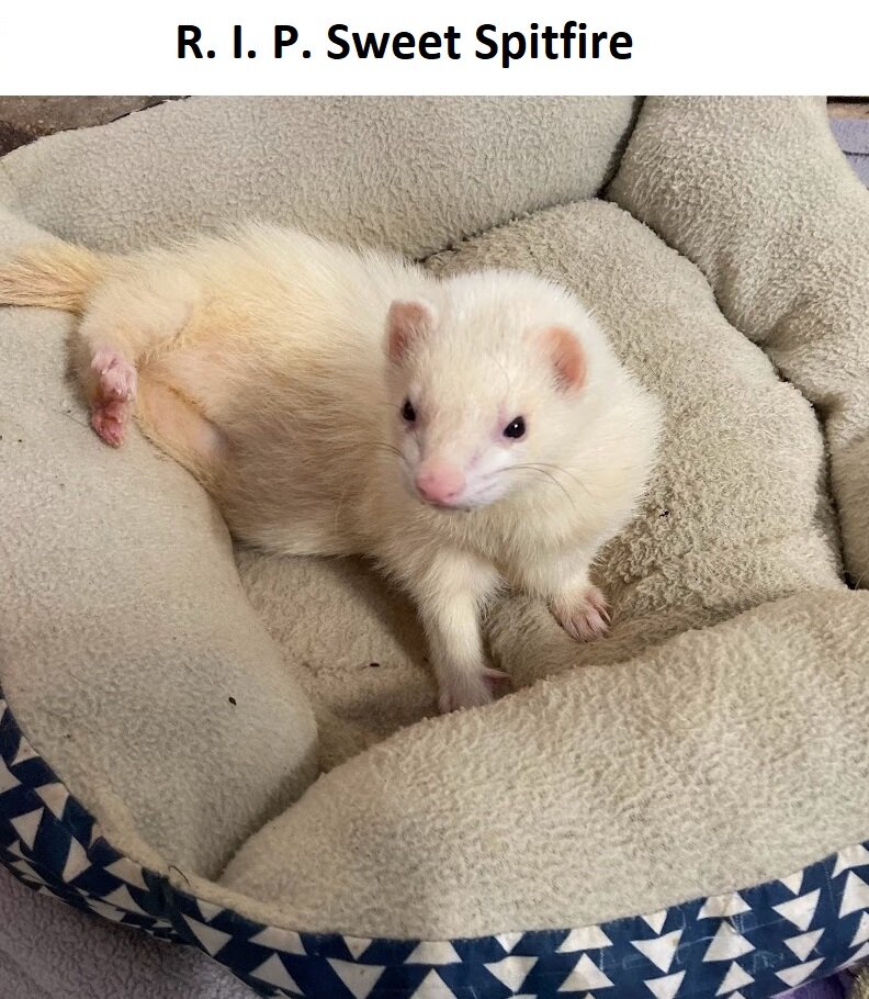 RIP Oliver