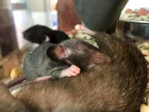 Sleeping on momma