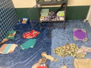 New ferret room