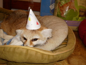 Happy Birthday Quiggly!