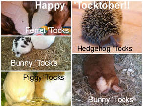 And one more 'Tocktober pic :)