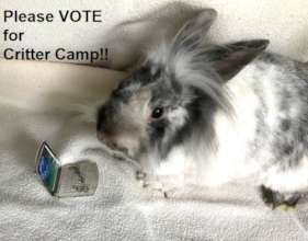 Winnie says Please Vote!