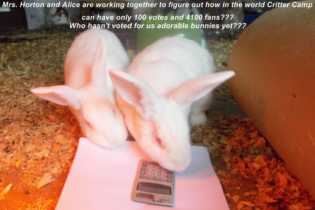 Alice & Mrs. Horton want you to vote