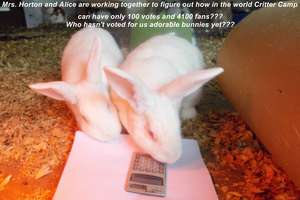 Alice & Mrs. Horton want you to vote