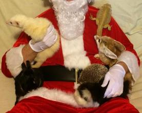 Happy Holidays!
