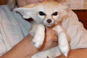 Cairo showing his disapproval of being held :)