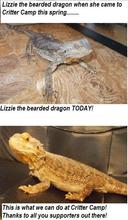 Lizzie Before & After