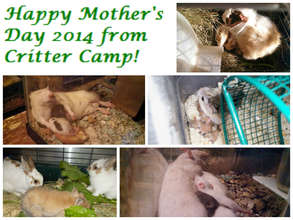 Happy Mothers Day!