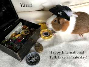 Happy Pirate Day!